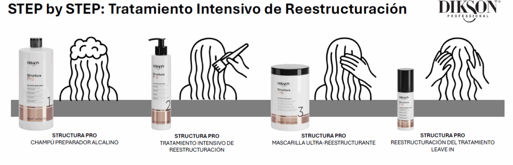 Paso a paso Structura Pro Diksona